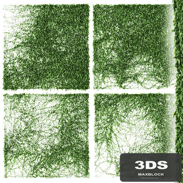 Ivy Wall. 4 models. v3