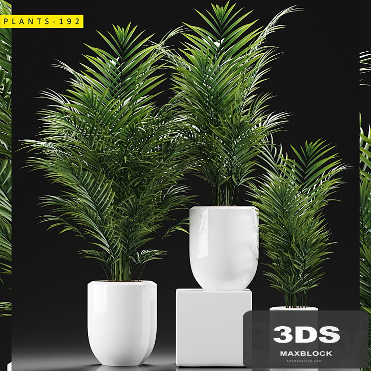 PLANTS 193