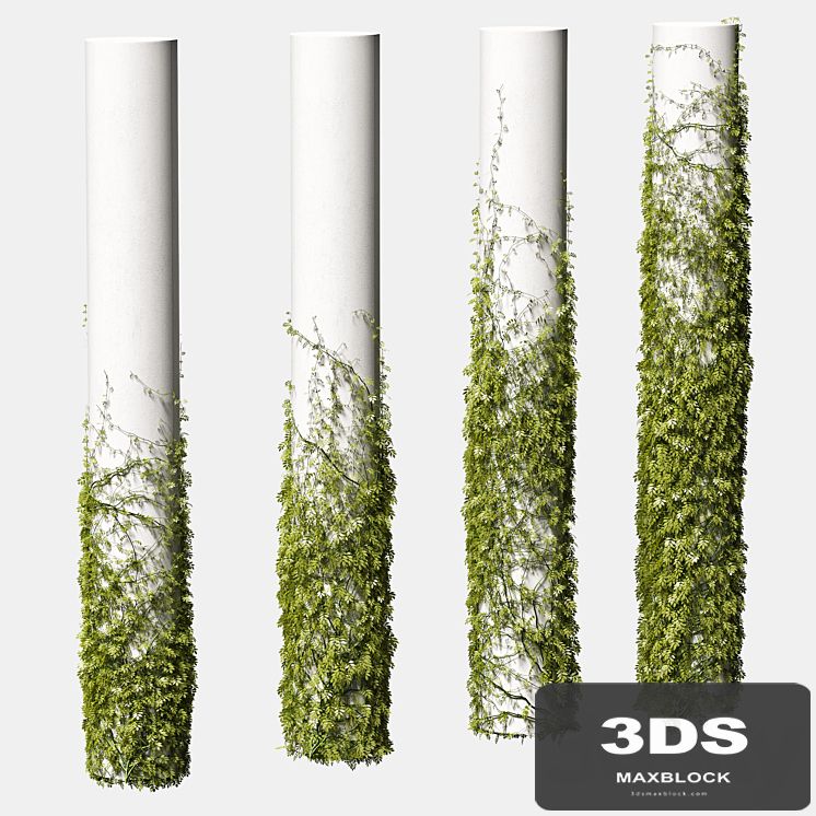 Leaves for round columns. 4 models