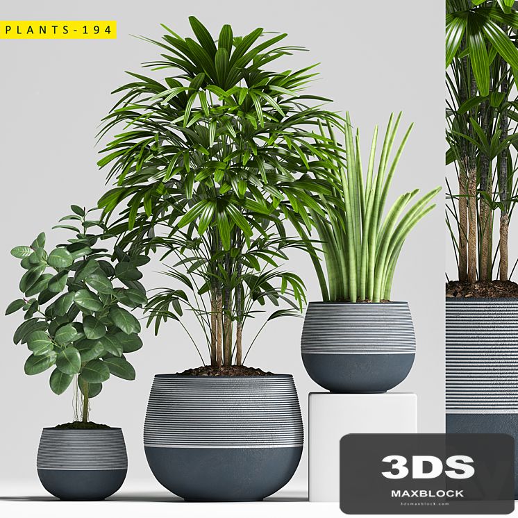 Plants 194