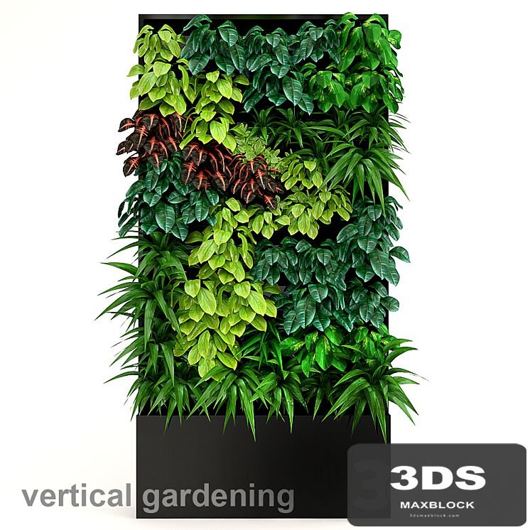 Vertical gardening 2