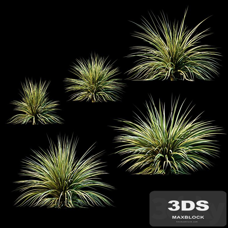 Plants for Exterior v2