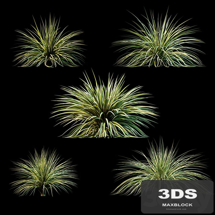 Plants for exterior v3