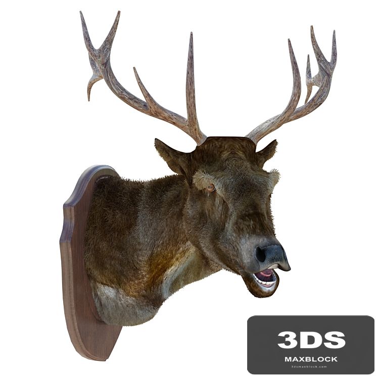 Deer head