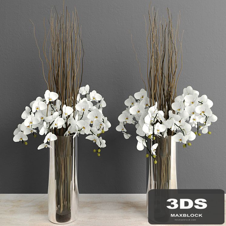 Orchids with willow branches