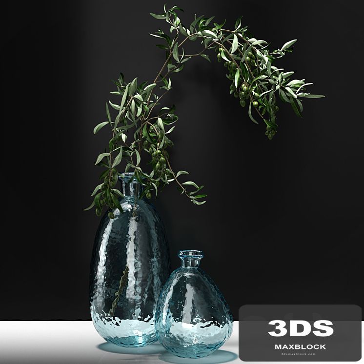 Olive branch in vase