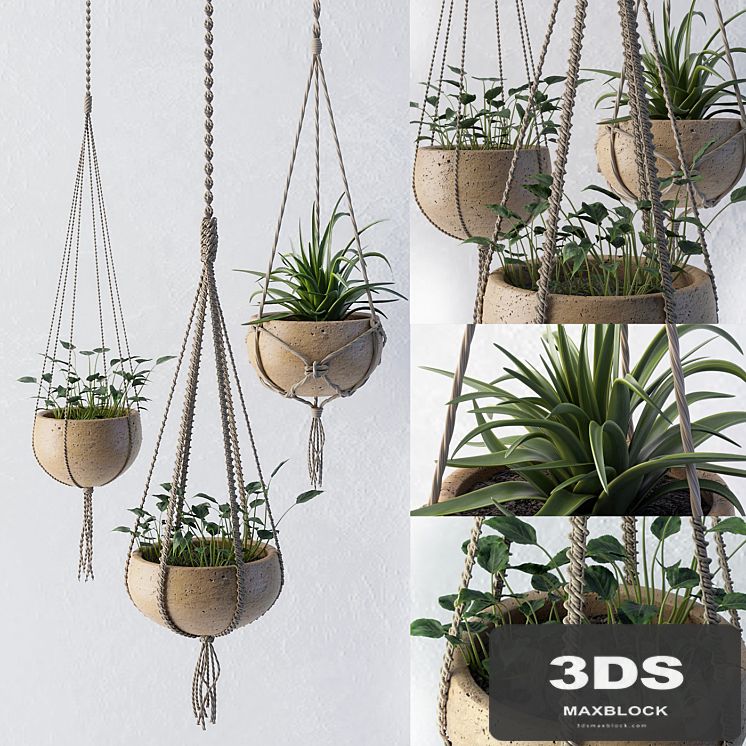 Decorative set of flower pots