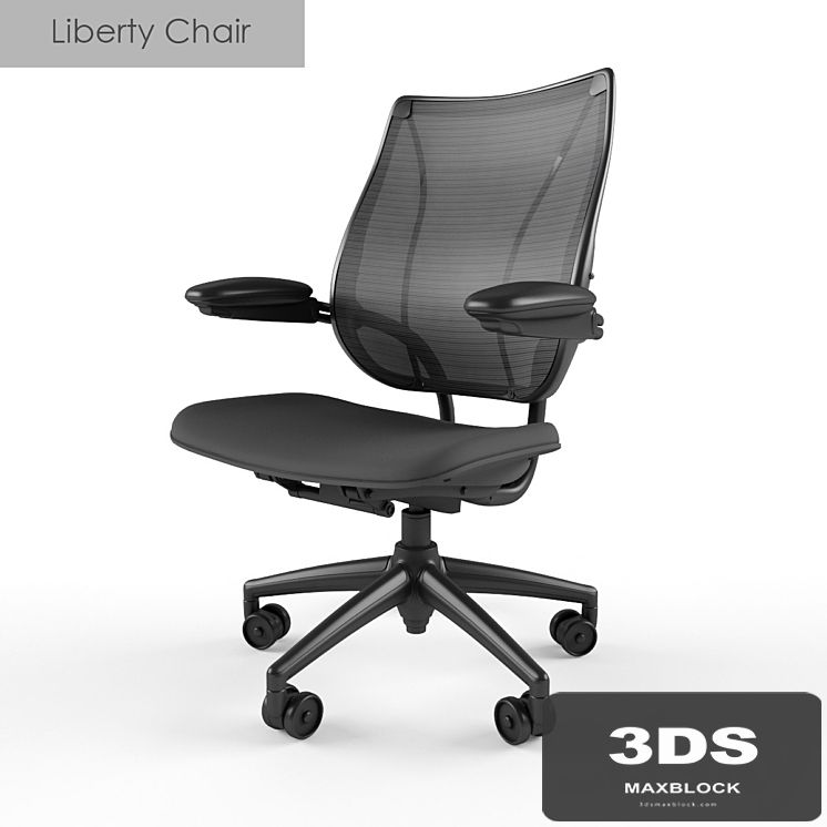 Humanscale Liberty Chair