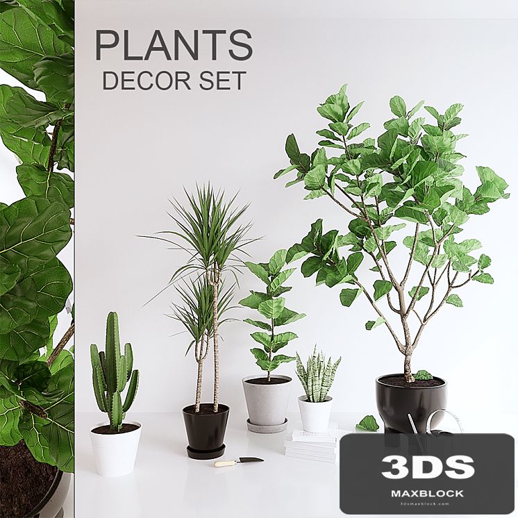 PLANTS SET (vray GGX, corona PBR)