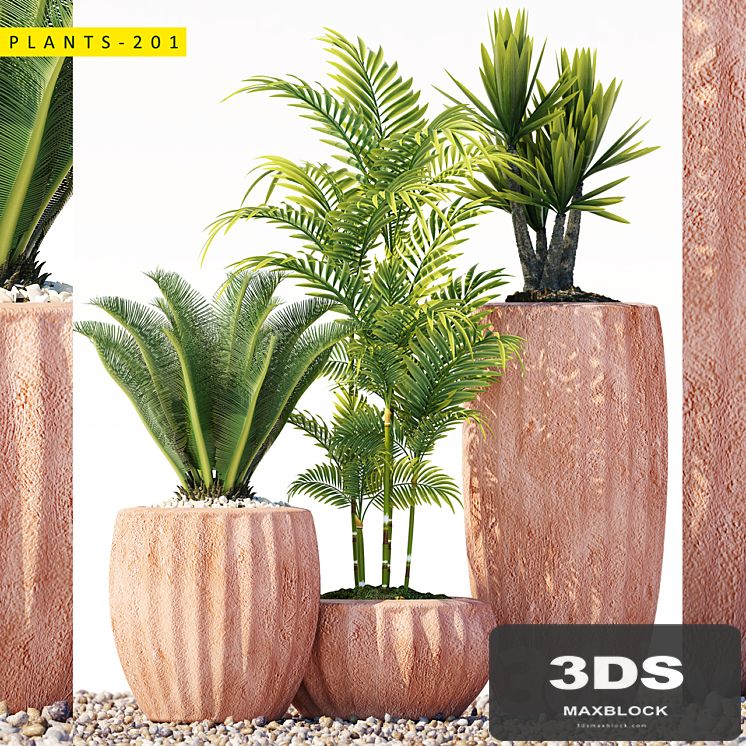 Plants 201
