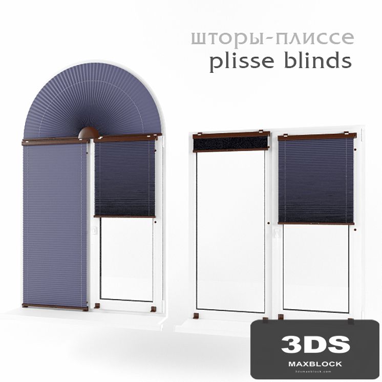 Pleated blinds