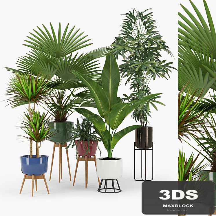 Plant Set 03