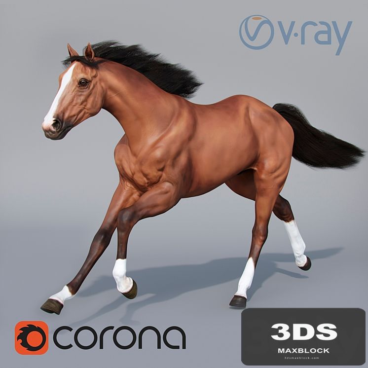 Running horse 02