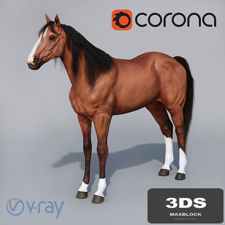 Standing horse