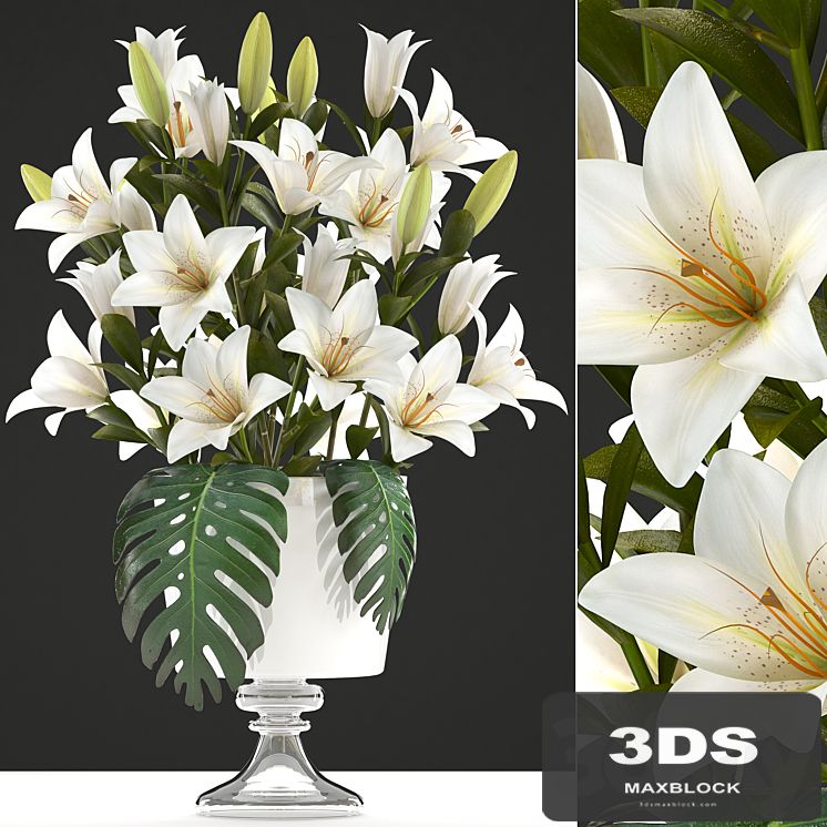 Bouquet of white flowers 51. Bouquet of Lilies, flower, lily, vase, decor