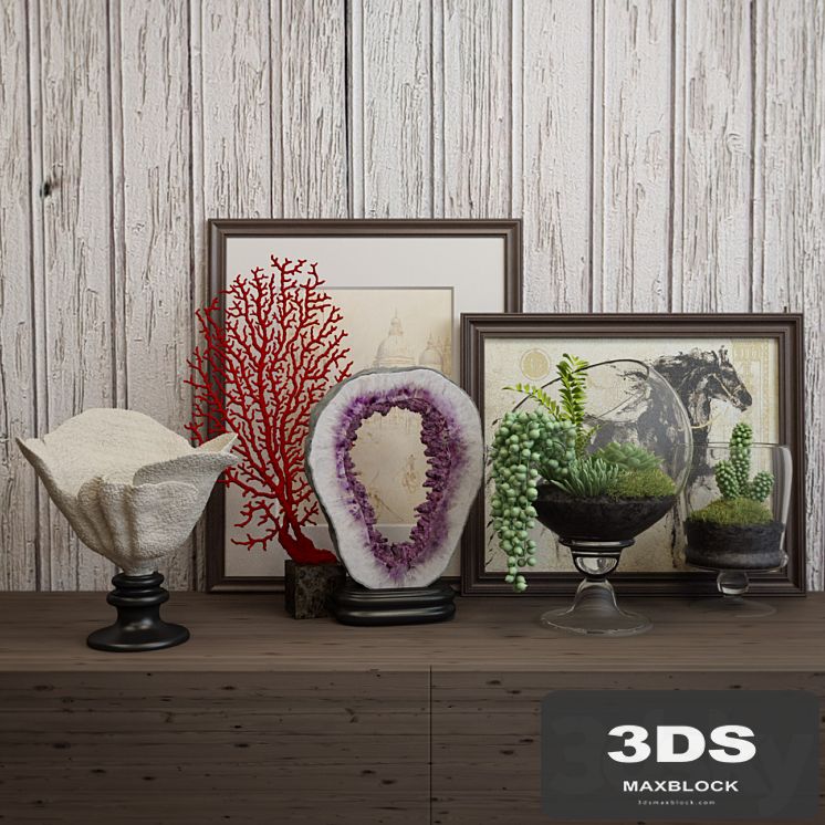 Decor coral 05