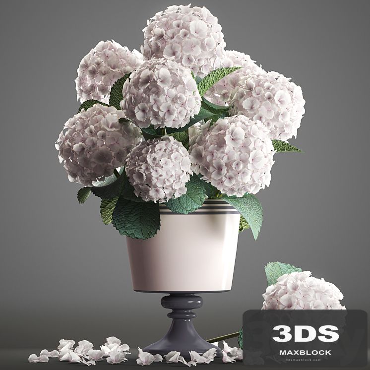 Bouquet of white flowers 54. Hydrangea, blue flowers, flower, vase, branch