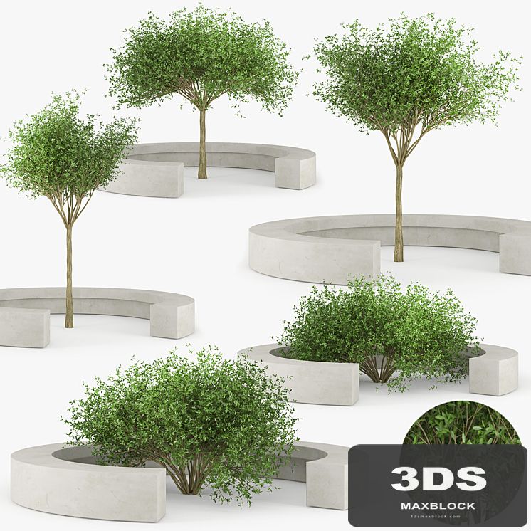 COMB BY VORA ARQUITECTURA Tree Bench