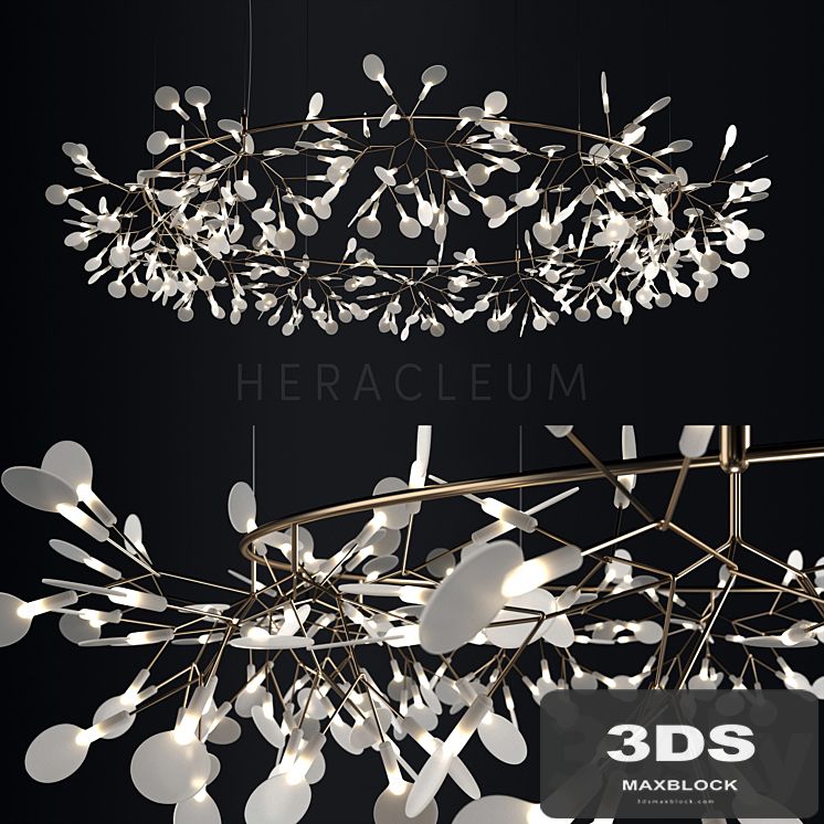 Chandelier Moooi Heracleum the Big O