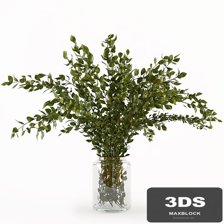 Branches in the vase 005