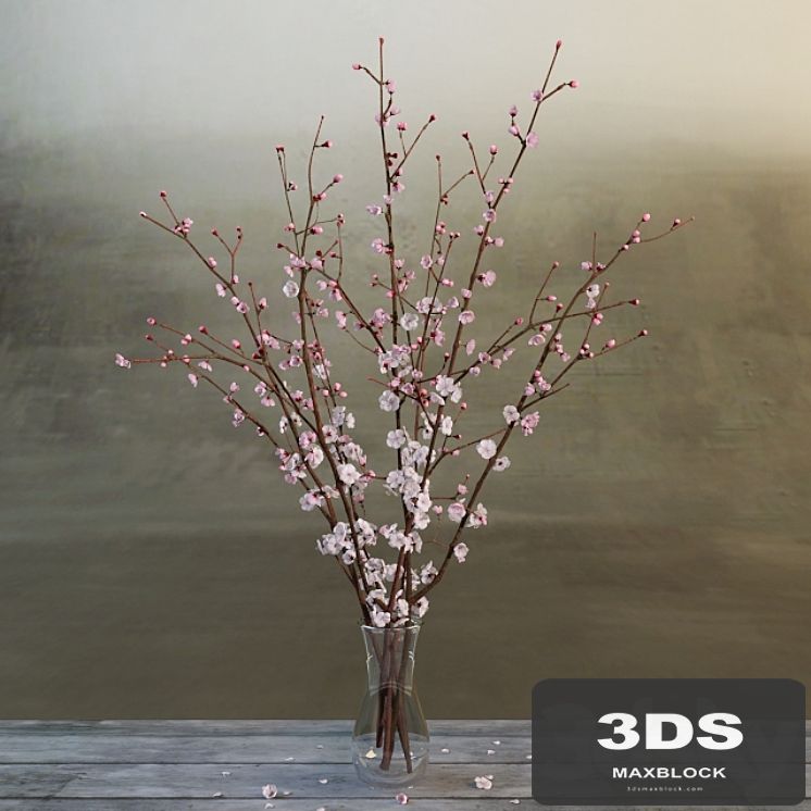 bouquet of cherry