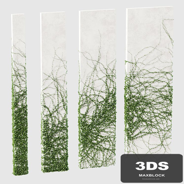 Ivy for rectangular columns. 4 models