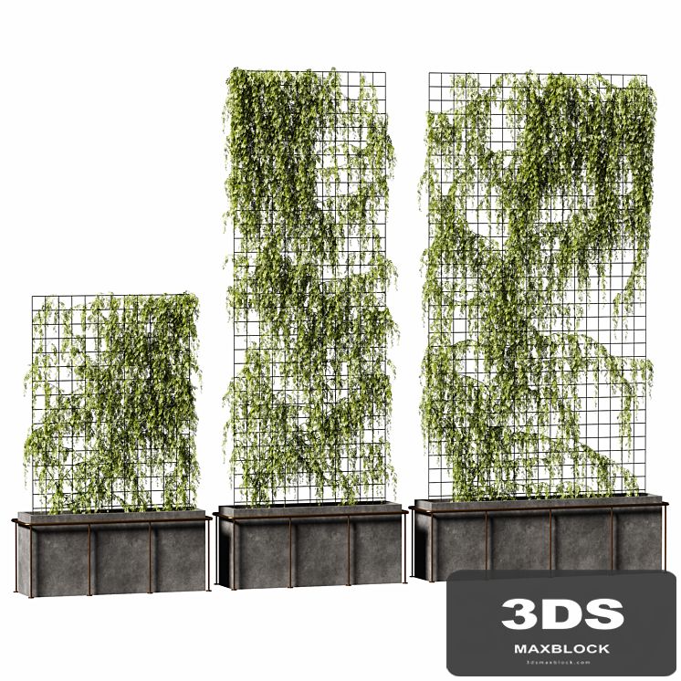The plant on the grid. 3 models