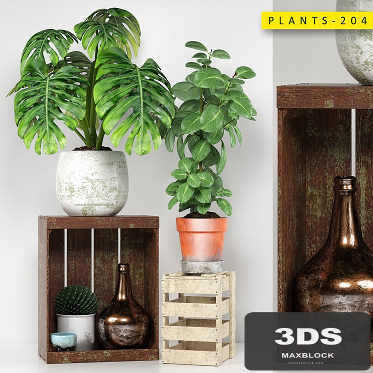 PLANTS 204