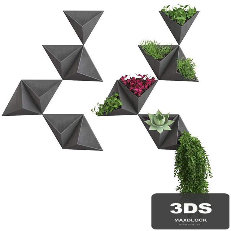 Wall flowers