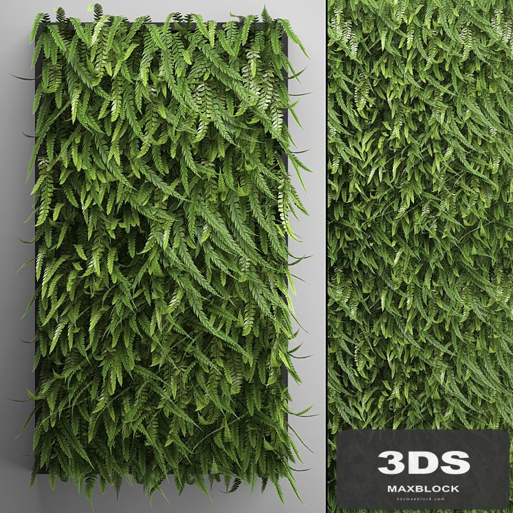 Vertical garden 17. FERN. Fern, phytowall, wall decor, phytomodule, bushes