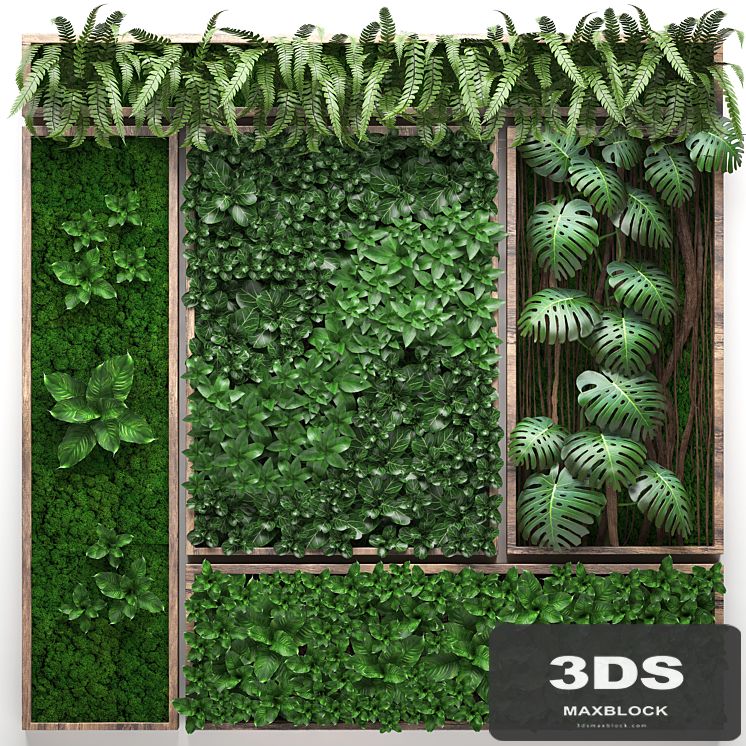 Vertical garden 22. Five separate modules, landscaping, phytowall, phytomodule, monstera, fern, eco design, natural decor