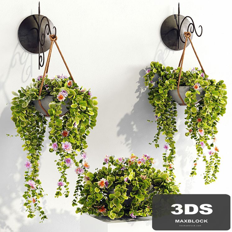 Plant pots