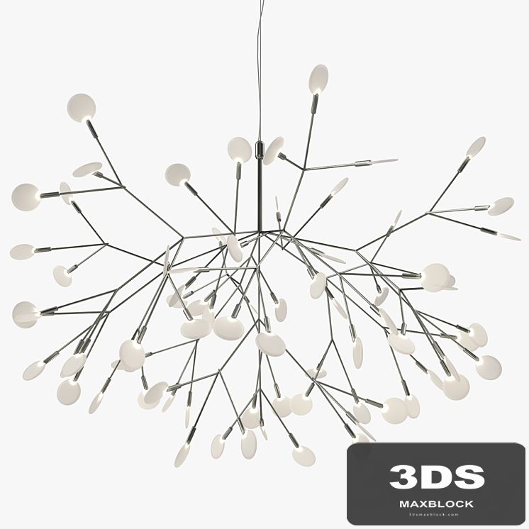 Heracleum II