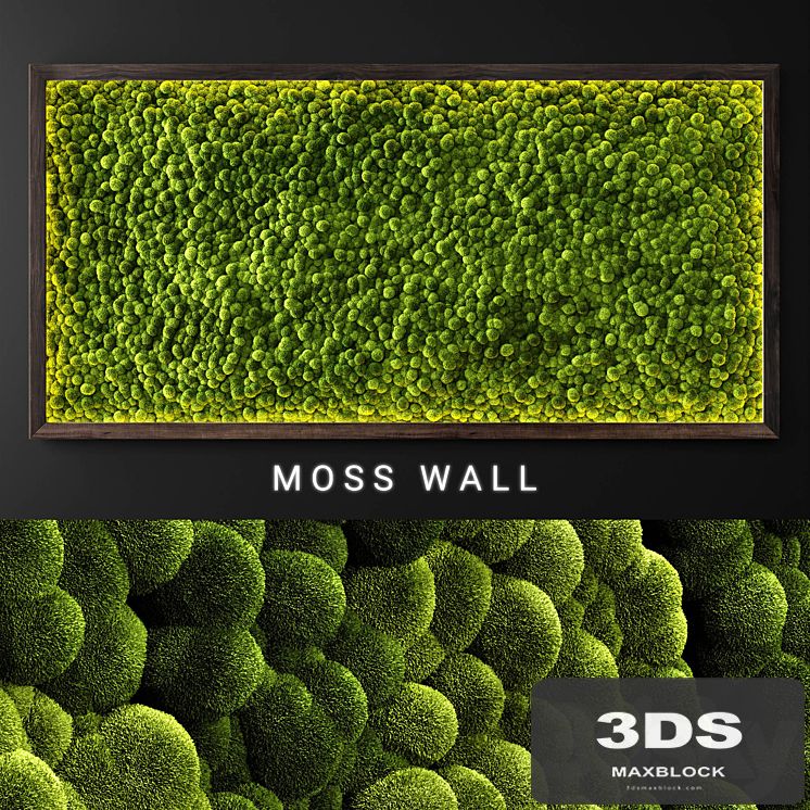 Moss wall 2