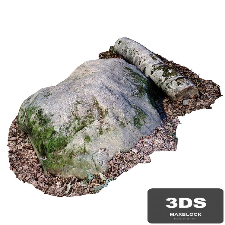 Stone with a log
