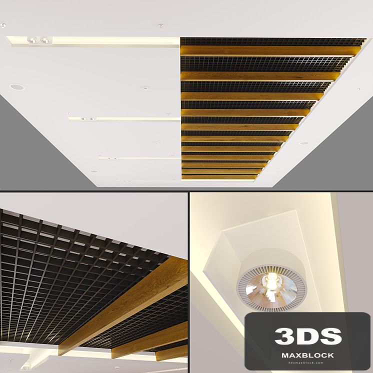 Modern Ceiling