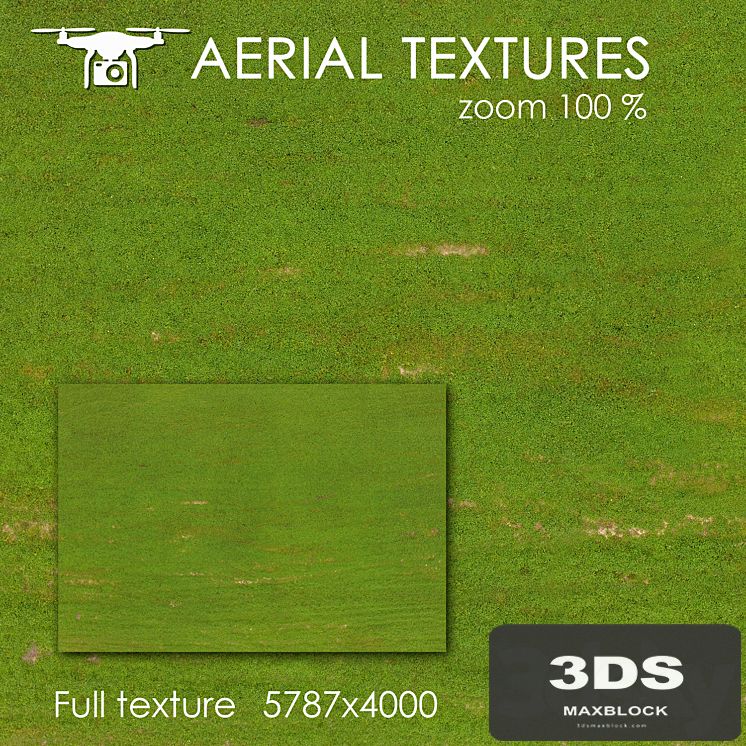 Field with grass 128