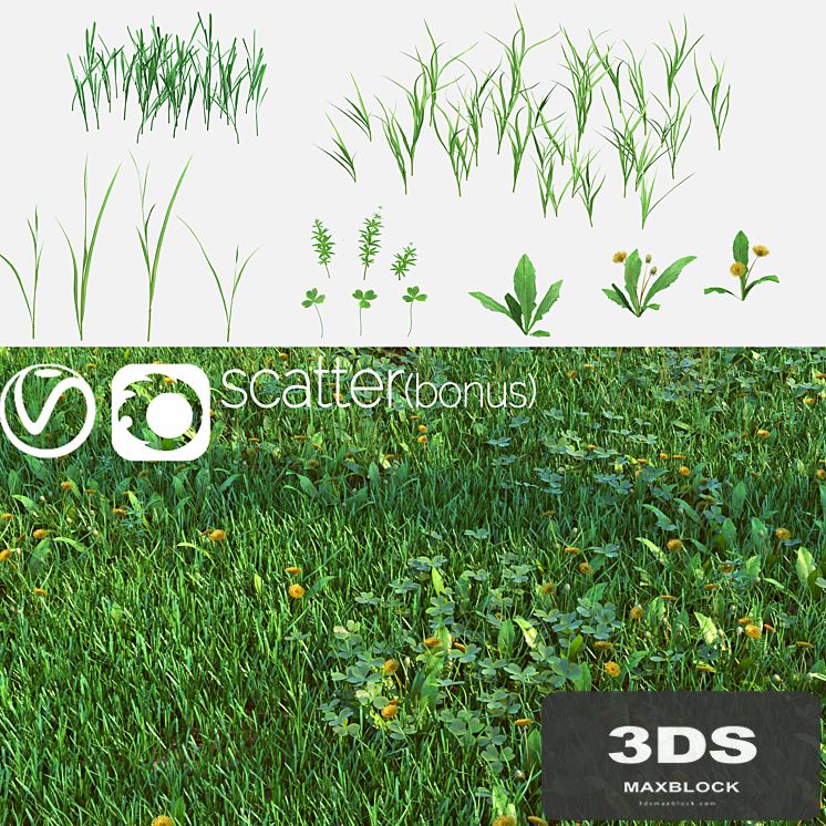 Set for the creation of field grass and lawns