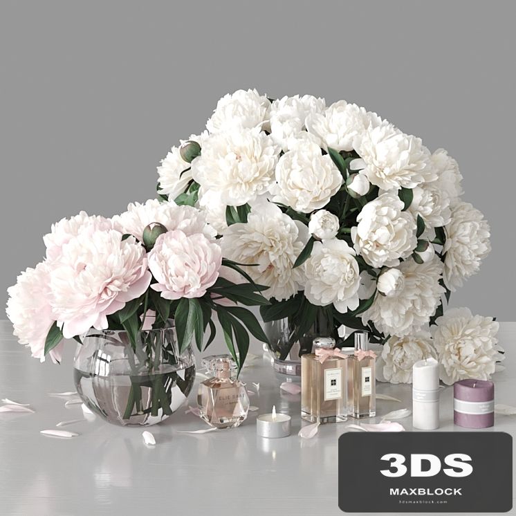 Peonies 2