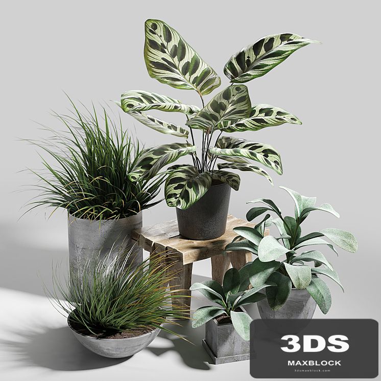 Plant set 03