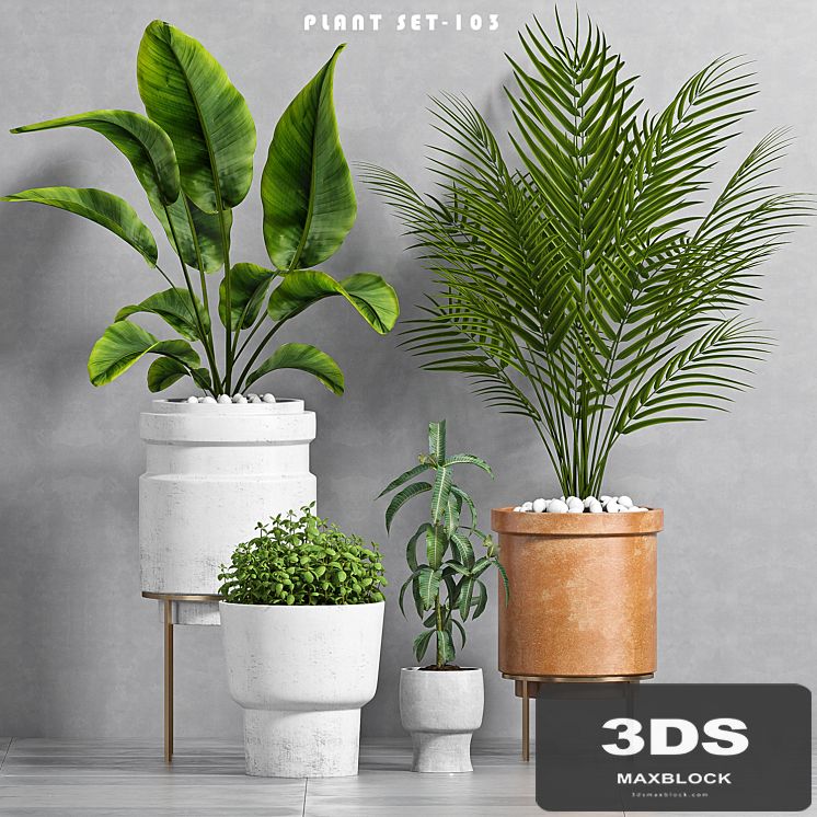PLANT SET -103