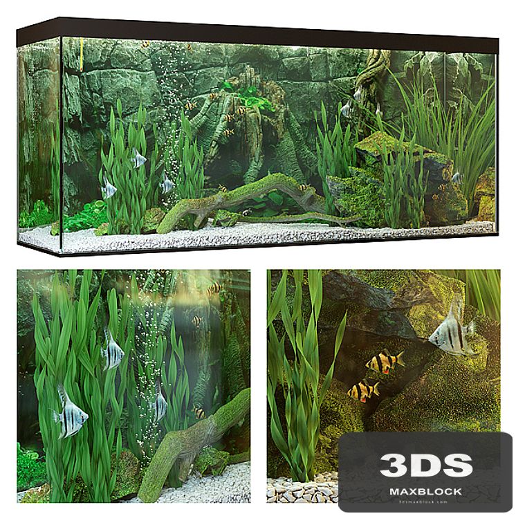 Aquarium