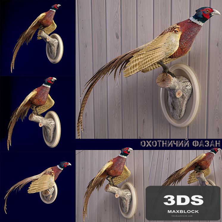 Scarecrow PHEASANT