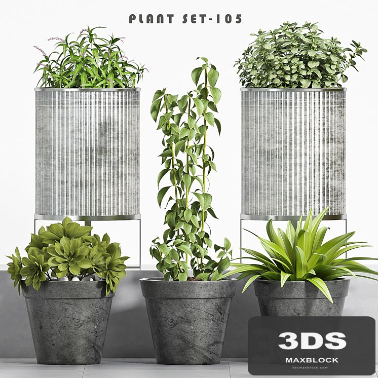 plant set-105