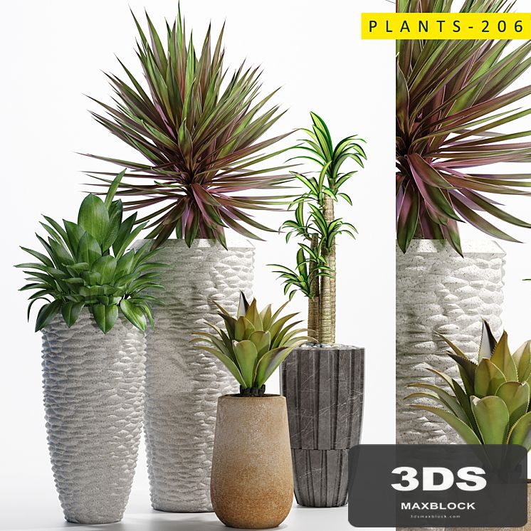 plants_206