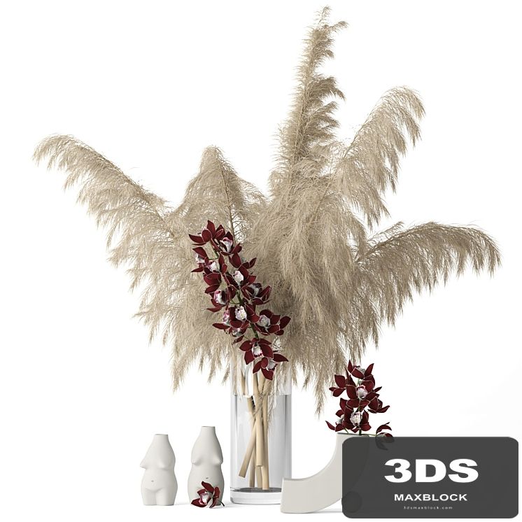 Pampas grass and Cymbidium