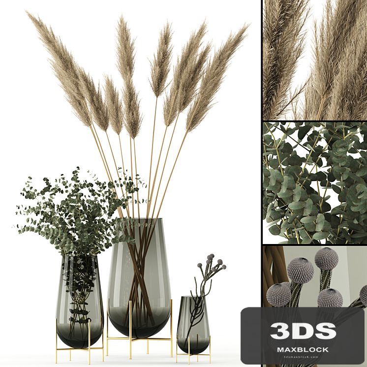 Plants in Echasse Vases