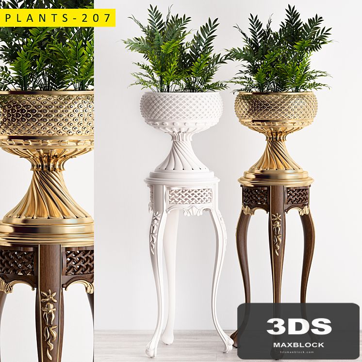 Plants 207