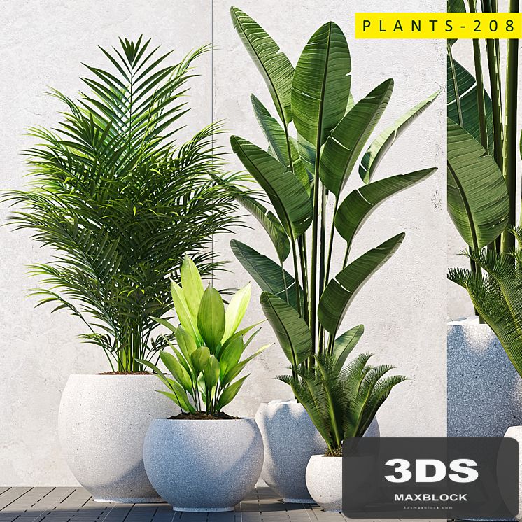 plants 208