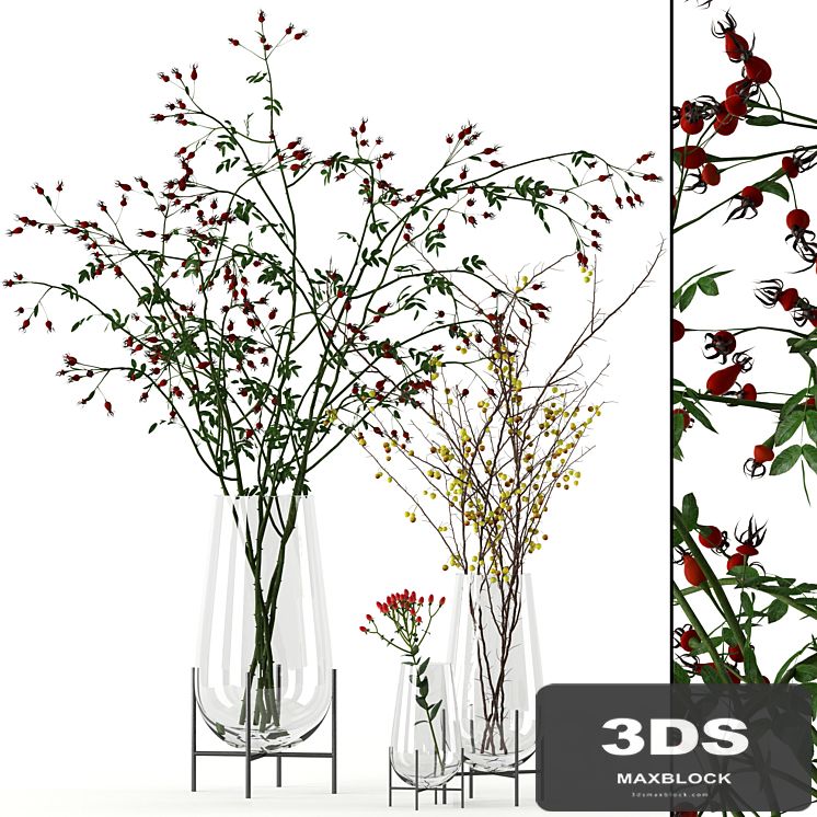 Twigs in Echasse Vases